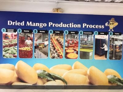 whatsapp image 2023 05 10 at.57.02