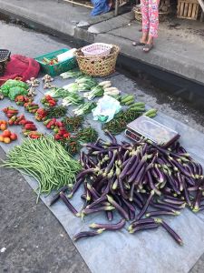 whatsapp image 2023 05 11 at.03.35