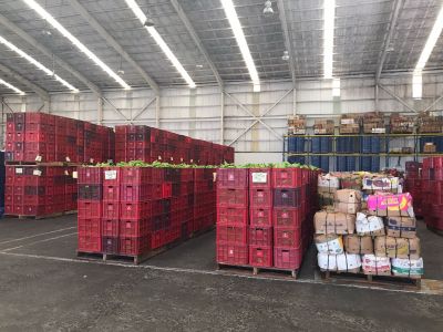 whatsapp image 2023 05 12 at.13.44