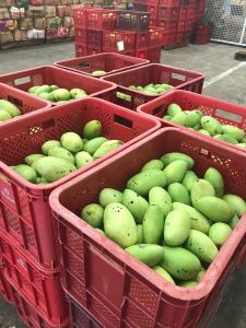 whatsapp image 2023 05 12 at.13.45