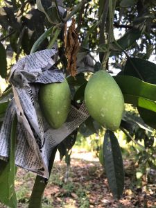 whatsapp image 2023 05 13 at.24.26