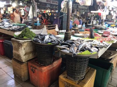 whatsapp image023 05 18 at 12.45.16