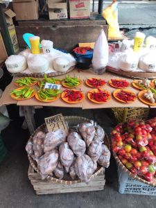 whatsapp image 2023 05 18 at.05.03