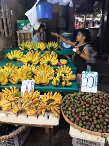 whatsapp image 2023 05 18 at.05.04