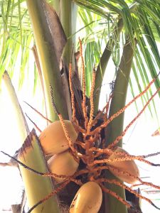 whatsapp image 2023 05 21 at.34.44