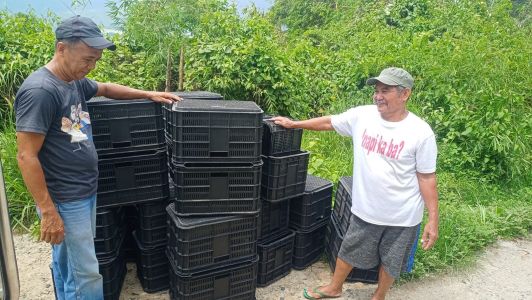 whatsapp image 2023 05 24 at5.02.52