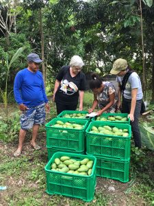 whatsapp image023 056 at 07.43.53