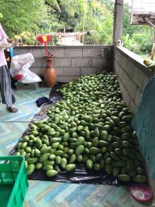 whatsapp image023 056 at 07.43.54