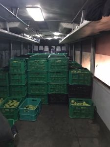 whatsapp image023 056 at 07.43.55